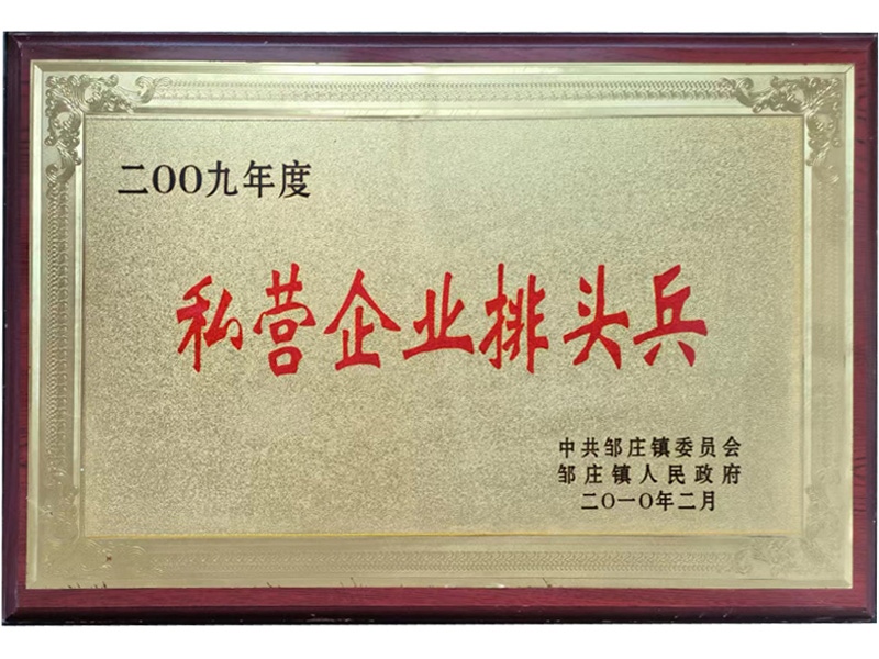 2009年度私營(yíng)企業(yè)排頭兵